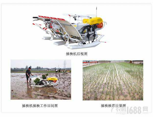 华盛泰山2Z-430水稻插秧机