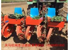 栽植机械种植施肥机械2ZQ--2